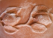limoni