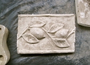 modello_limoni_1996