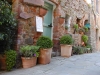 OF60 Cassetta con frutta a Rigomagno 