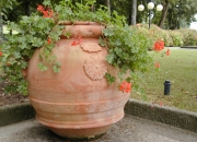 orcio buitoni 